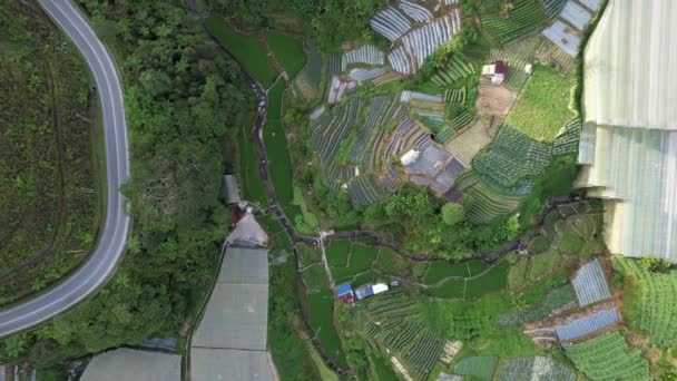 Cameron Highlands Pahang Malaysia Травня 2022 General Landscape View Brinchang — стокове відео