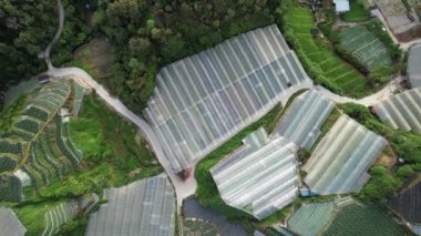 Cameron Highlands, Pahang Malezya 30 Mayıs 2022: Malezya 'nın Cameron Highlands Alanı içindeki Brinchang Bölgesinin Genel Manzarası