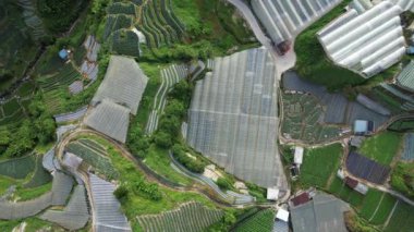 Cameron Highlands, Pahang Malezya 30 Mayıs 2022: Malezya 'nın Cameron Highlands Alanı içindeki Brinchang Bölgesinin Genel Manzarası