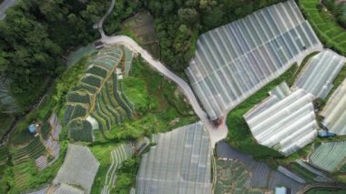Cameron Highlands, Pahang Malezya 30 Mayıs 2022: Malezya 'nın Cameron Highlands Alanı içindeki Brinchang Bölgesinin Genel Manzarası