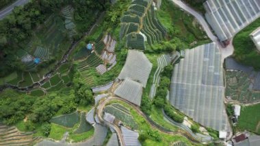 Cameron Highlands, Pahang Malezya 30 Mayıs 2022: Malezya 'nın Cameron Highlands Alanı içindeki Brinchang Bölgesinin Genel Manzarası