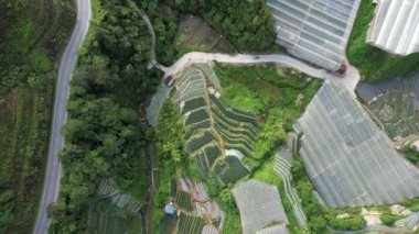 Cameron Highlands, Pahang Malezya 30 Mayıs 2022: Malezya 'nın Cameron Highlands Alanı içindeki Brinchang Bölgesinin Genel Manzarası