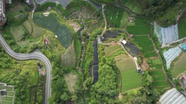 Cameron Highlands, Pahang Malezya 30 Mayıs 2022: Malezya 'nın Cameron Highlands Alanı içindeki Brinchang Bölgesinin Genel Manzarası
