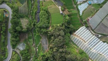 Cameron Highlands, Pahang Malezya 30 Mayıs 2022: Malezya 'nın Cameron Highlands Alanı içindeki Brinchang Bölgesinin Genel Manzarası