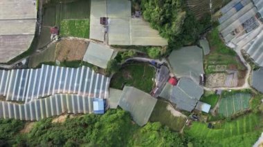 Cameron Highlands, Pahang Malezya 30 Mayıs 2022: Malezya 'nın Cameron Highlands Alanı içindeki Brinchang Bölgesinin Genel Manzarası