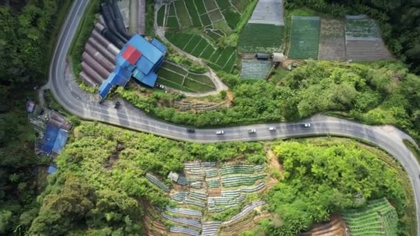 Cameron Highlands Pahang Malaysia Травня 2022 General Landscape View Brinchang — стокове відео