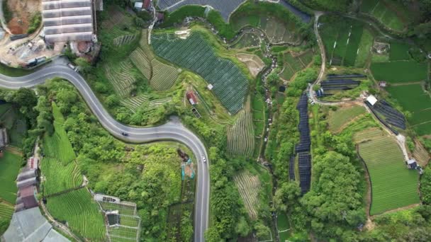 Cameron Highlands Pahang Malaysia Maj 2022 Allmänt Landskap Utsikt Över — Stockvideo