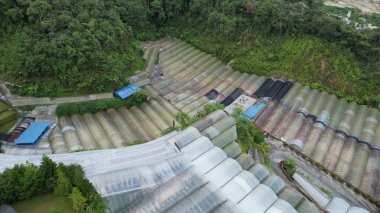 Cameron Highlands, Pahang Malezya 30 Mayıs 2022: Malezya 'nın Cameron Highlands Alanı içindeki Brinchang Bölgesinin Genel Manzarası