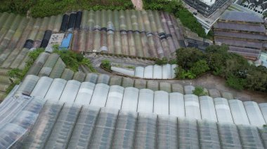 Cameron Highlands, Pahang Malezya 30 Mayıs 2022: Malezya 'nın Cameron Highlands Alanı içindeki Brinchang Bölgesinin Genel Manzarası