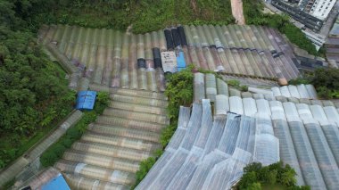 Cameron Highlands, Pahang Malezya 30 Mayıs 2022: Malezya 'nın Cameron Highlands Alanı içindeki Brinchang Bölgesinin Genel Manzarası