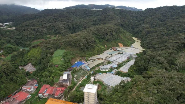 Cameron Highlands Pahang Malajsie Května 2022 Celkový Pohled Krajinu Oblasti — Stock fotografie