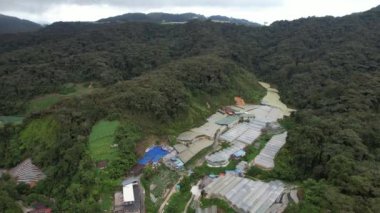 Cameron Highlands, Pahang Malezya 30 Mayıs 2022: Malezya 'nın Cameron Highlands Alanı içindeki Brinchang Bölgesinin Genel Manzarası