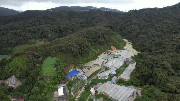 Cameron Highlands Pahang Malaysia Maggio 2022 Panorama Generale Veduta Del — Video Stock