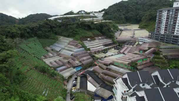 Cameron Highlands Pahang Malaysia May 2022 General Landscape View Brinchang — Stock Video