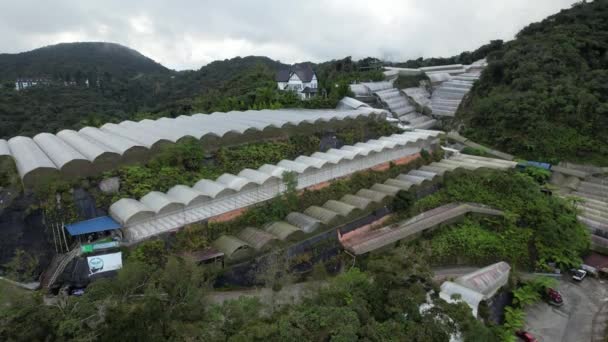 Cameron Highlands Pahang Malásia Maio 2022 Vista Geral Paisagem Distrito — Vídeo de Stock