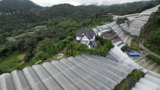 Cameron Highlands Pahang Maleisië Mei 2022 Algemeen Landschapsbeeld Van Het — Stockvideo
