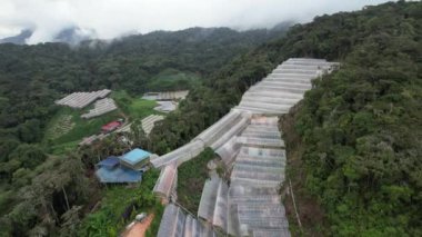 Cameron Highlands, Pahang Malezya 30 Mayıs 2022: Malezya 'nın Cameron Highlands Alanı içindeki Brinchang Bölgesinin Genel Manzarası