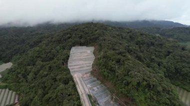Cameron Highlands, Pahang Malezya 30 Mayıs 2022: Malezya 'nın Cameron Highlands Alanı içindeki Brinchang Bölgesinin Genel Manzarası