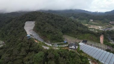 Cameron Highlands, Pahang Malezya 30 Mayıs 2022: Malezya 'nın Cameron Highlands Alanı içindeki Brinchang Bölgesinin Genel Manzarası