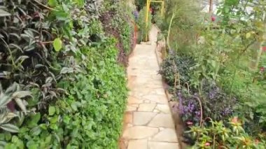 Cameron Highlands Malezya 'sının Güzel Çiçek ve Çimen Yatakları