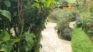 Cameron Highlands Malezya 'sının Güzel Çiçek ve Çimen Yatakları