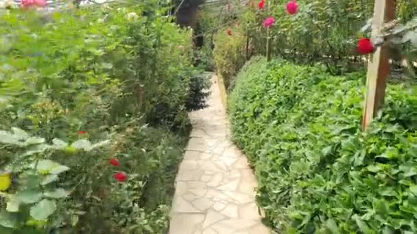 Las Hermosas Flores Camas Hierba Cameron Highlands Malasia — Vídeo de stock