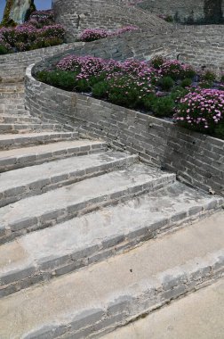 Cameron Highlands Malezya 'sının Güzel Çiçek ve Çimen Yatakları