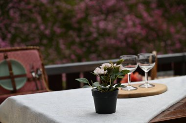 Cameron Highlands Malezya 'sının Güzel Çiçek ve Çimen Yatakları