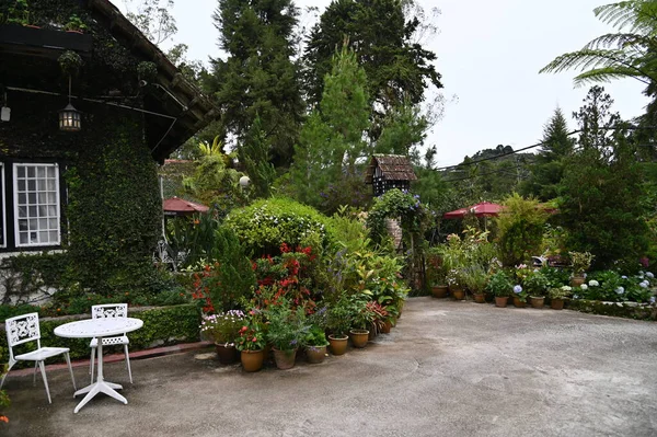 Una Antigua Casa Humo Inglesa Cameron Highlands Malasia — Foto de Stock