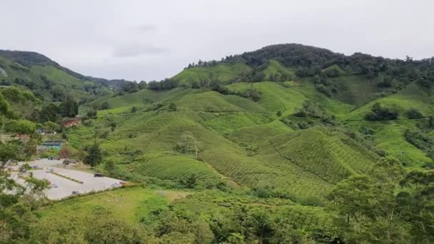 Ogólny Widok Krajobrazowy Dystrykt Brinchang Rejonie Wyżyn Cameron Malezji — Wideo stockowe