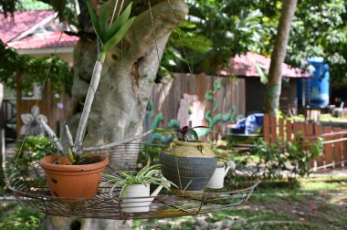 Kota Kinabalu, Sabah Malezya 14 Haziran 2022: Kota Kinabalu Şehir Merkezi Rıhtım ve Kordon Bölgesi