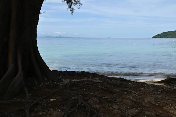 Kota Kinabalu Sabah Maleisië Juni 2022 Het Waterfront Esplanade Gebied — Stockfoto