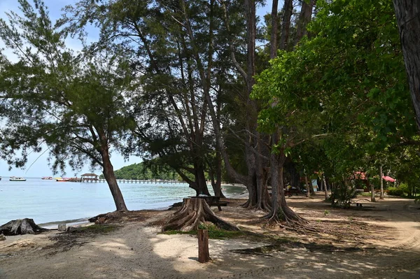 Kota Kinabalu, Sabah Malezya 14 Haziran 2022: Kota Kinabalu Şehir Merkezi Rıhtım ve Kordon Bölgesi