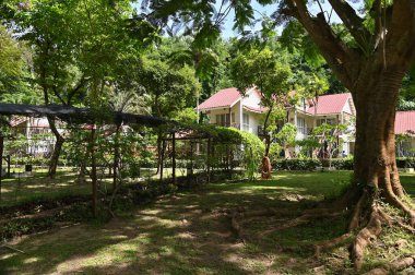 Manukan, Mamutik ve Sapi, Kota Kinabalu, Sabah Malezya Sahili