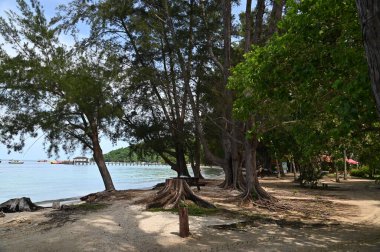 Manukan, Mamutik ve Sapi, Kota Kinabalu, Sabah Malezya Sahili