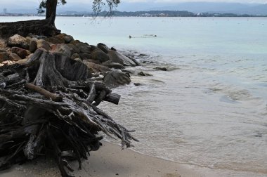 Manukan, Mamutik ve Sapi, Kota Kinabalu, Sabah Malezya Sahili