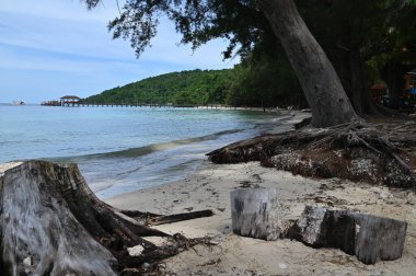 Manukan, Mamutik ve Sapi, Kota Kinabalu, Sabah Malezya Sahili