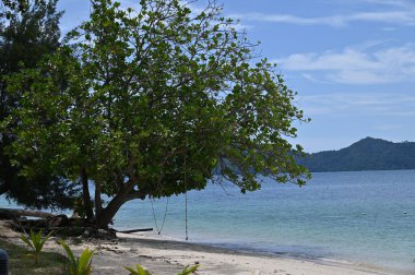 Manukan, Mamutik ve Sapi, Kota Kinabalu, Sabah Malezya Sahili