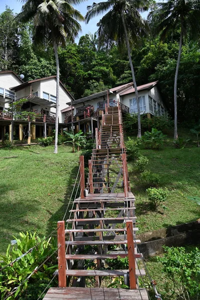 Manukan Mamutik Sapi Kota Kinabalu Sabah Malezya Sahili — Stok fotoğraf