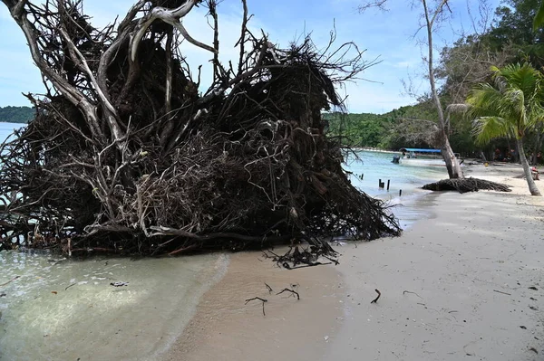 Paisaje Junto Playa Dentro Las Islas Manukan Mamutik Sapi Kota — Foto de Stock