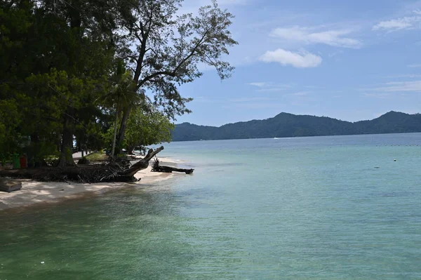 Manukan Mamutik Sapi Kota Kinabalu Sabah Malezya Sahili — Stok fotoğraf