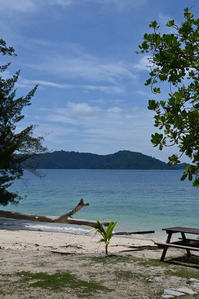 Manukan Mamutik Sapi Kota Kinabalu Sabah Malezya Sahili — Stok fotoğraf