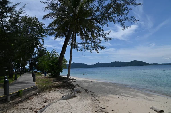 Manukan Mamutik Sapi Kota Kinabalu Sabah Malezya Sahili — Stok fotoğraf