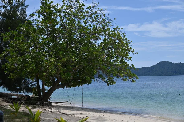 Islands Manukan Mamutik Sapi Kota Kinabalu Sabah Malaysia — 스톡 사진