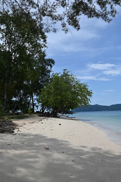 Manukan Mamutik Sapi Kota Kinabalu Sabah Malezya Sahili — Stok fotoğraf