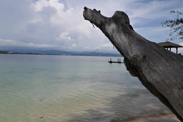 Manukan Mamutik Sapi Kota Kinabalu Sabah Malezya Sahili — Stok fotoğraf