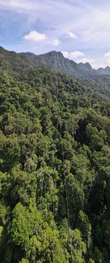 Langkawi 'nin Kent Simgeleri, Plajları ve Turist Çekimleri