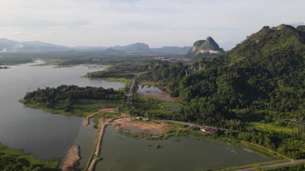 Campos Arroz Paddy Kedah Perlis Malásia — Vídeo de Stock