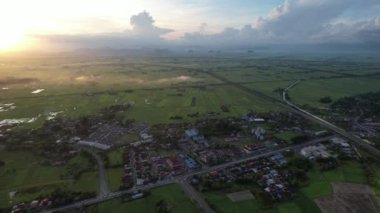 Kedah ve Perlis 'in Paddy Rice Tarlaları, Malezya