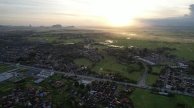 Kedah ve Perlis 'in Paddy Rice Tarlaları, Malezya
